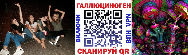 Псилоцибиновые грибы Psilocybine cubensis  Купить где  Лесной 